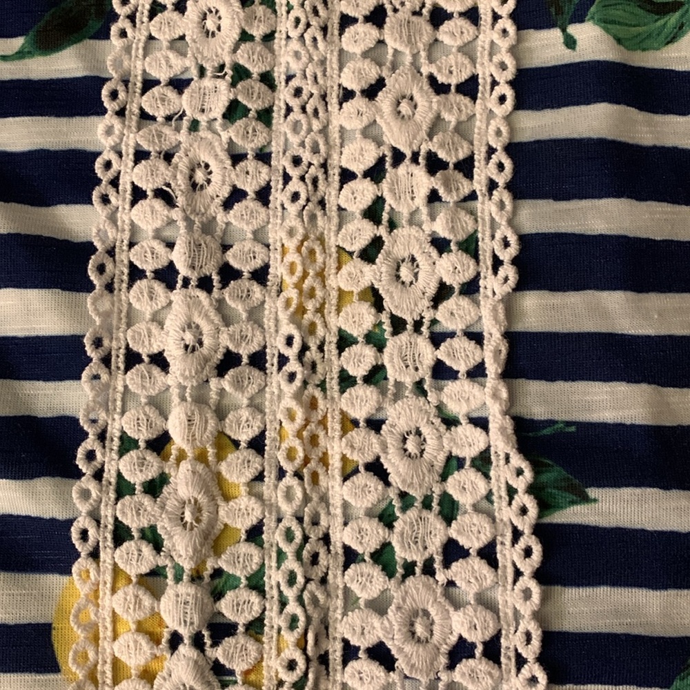 Westport Sleeveless Blue & White Striped Shirt with Clusters of Lemons - Picture 11 of 11